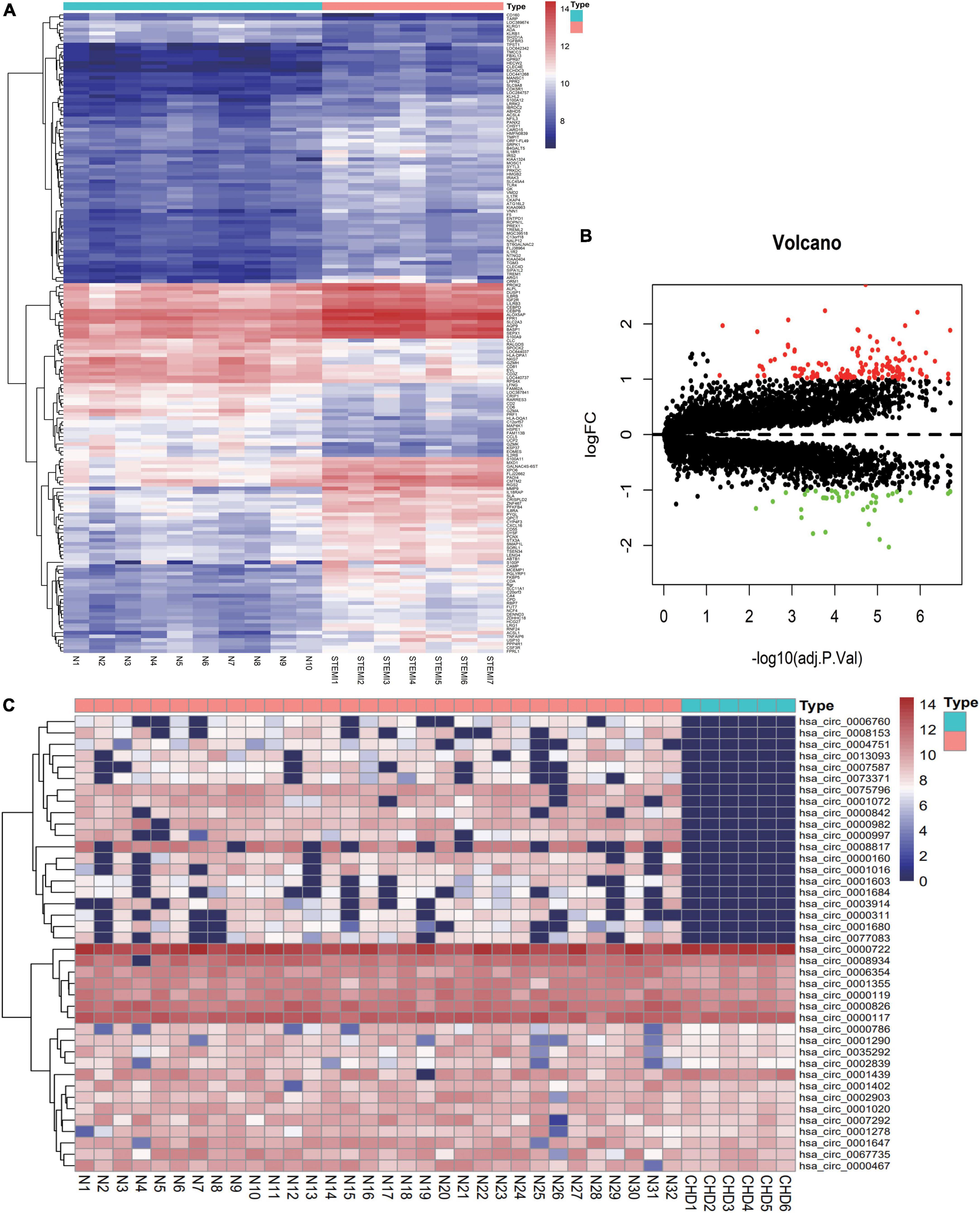 circRNA, a novel diagnostic biomarker for coronary heart disease